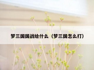 梦三国国战给什么（梦三国怎么打）