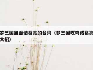 梦三国里面诸葛亮的台词（梦三国吃鸡诸葛亮大招）