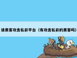 请黑客攻击私彩平台（有攻击私彩的黑客吗）