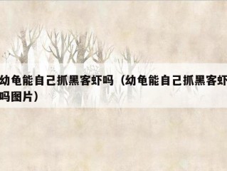 幼龟能自己抓黑客虾吗（幼龟能自己抓黑客虾吗图片）
