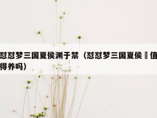 怼怼梦三国夏侯渊于禁（怼怼梦三国夏侯惇值得养吗）