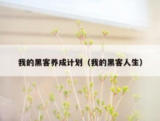 我的黑客养成计划（我的黑客人生）