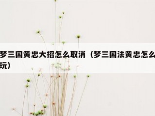 梦三国黄忠大招怎么取消（梦三国法黄忠怎么玩）