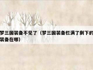 梦三国装备不见了（梦三国装备栏满了剩下的装备在哪）