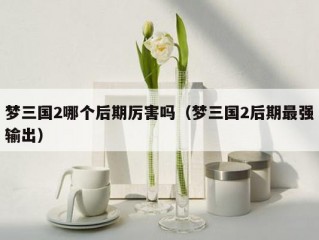 梦三国2哪个后期厉害吗（梦三国2后期最强输出）