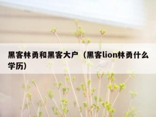 黑客林勇和黑客大户（黑客lion林勇什么学历）