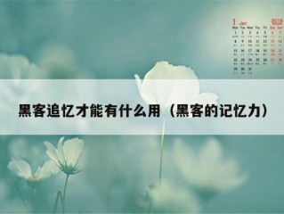 黑客追忆才能有什么用（黑客的记忆力）