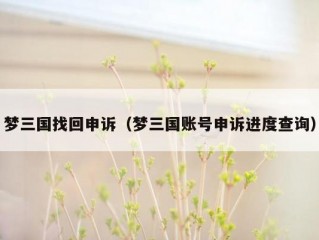 梦三国找回申诉（梦三国账号申诉进度查询）