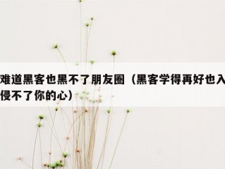 难道黑客也黑不了朋友圈（黑客学得再好也入侵不了你的心）