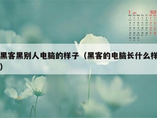 黑客黑别人电脑的样子（黑客的电脑长什么样）