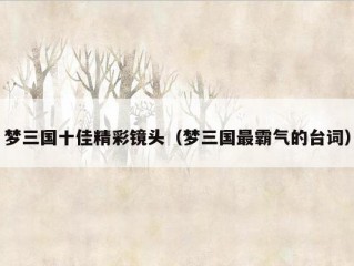 梦三国十佳精彩镜头（梦三国最霸气的台词）