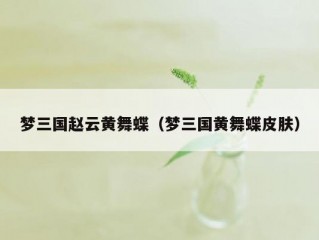梦三国赵云黄舞蝶（梦三国黄舞蝶皮肤）