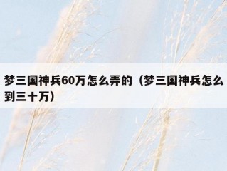 梦三国神兵60万怎么弄的（梦三国神兵怎么到三十万）