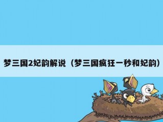 梦三国2妃韵解说（梦三国疯狂一秒和妃韵）